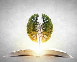 蓝冠汽车膜的品牌介绍